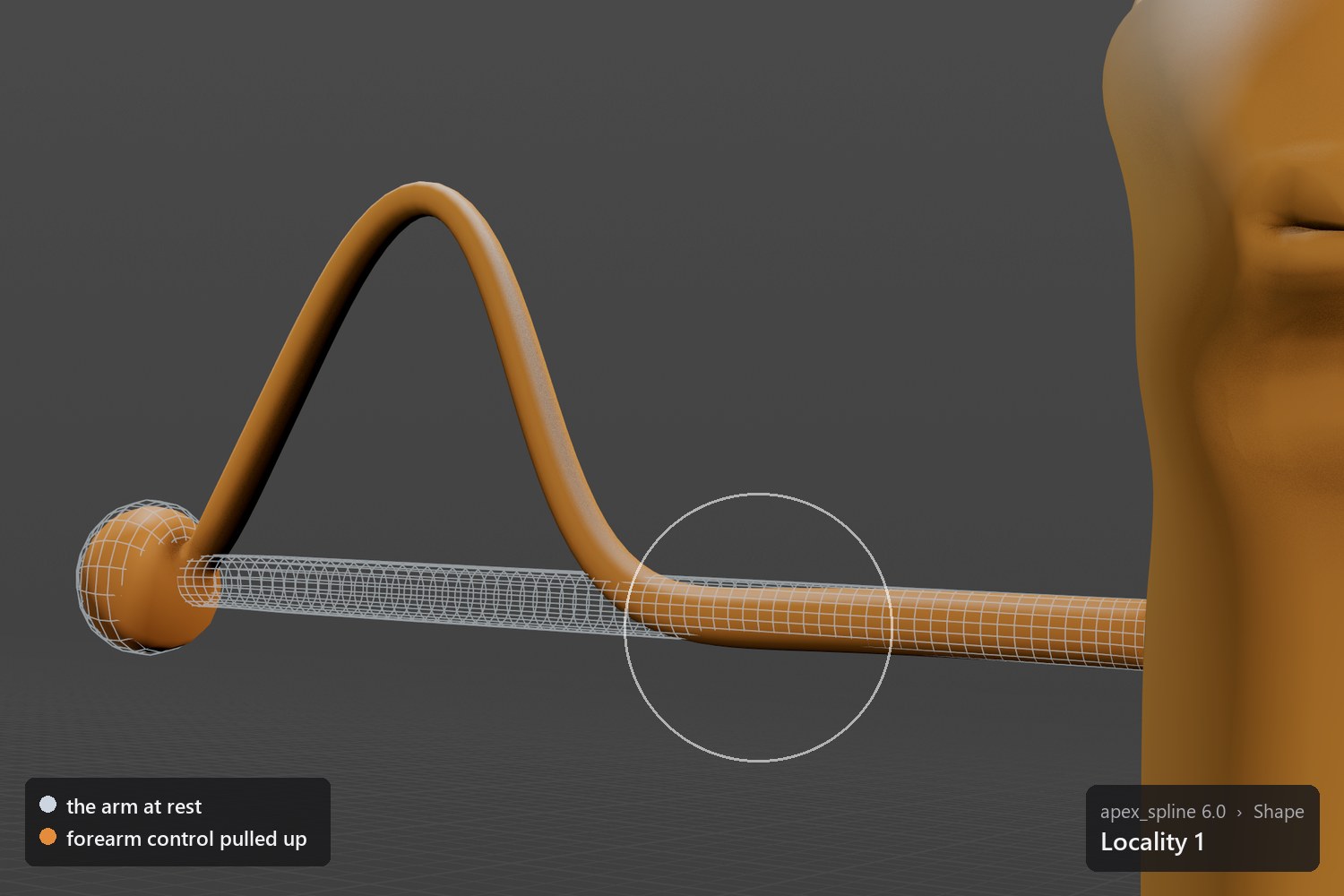 Locality 1. The same pull: only the forearm bends, the upper arm stays on its rest shape.